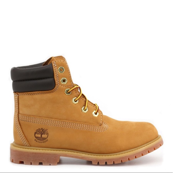 Timberland Waterville 6-Inch Double Collar Boot - Picture 6 of 9